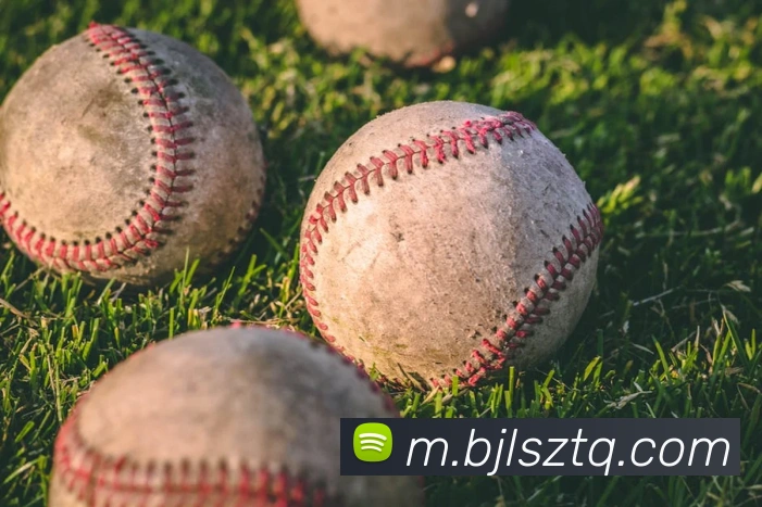 百家乐网站服务体系